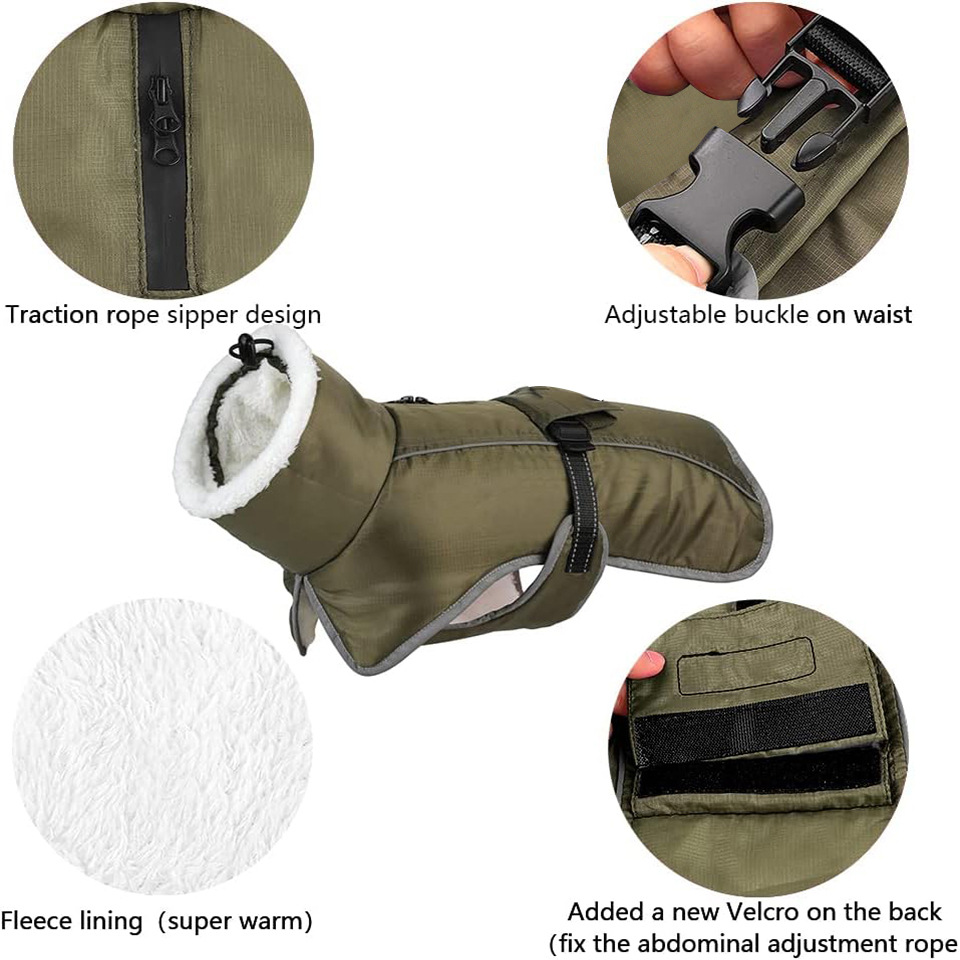 Blue Dog Winter Jacket – Warm view 3