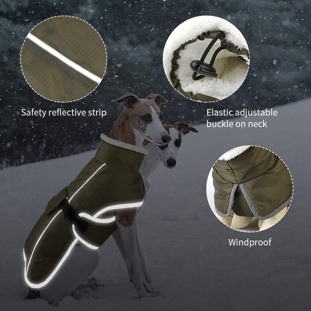 Green Dog Winter Jacket – Warm view 2