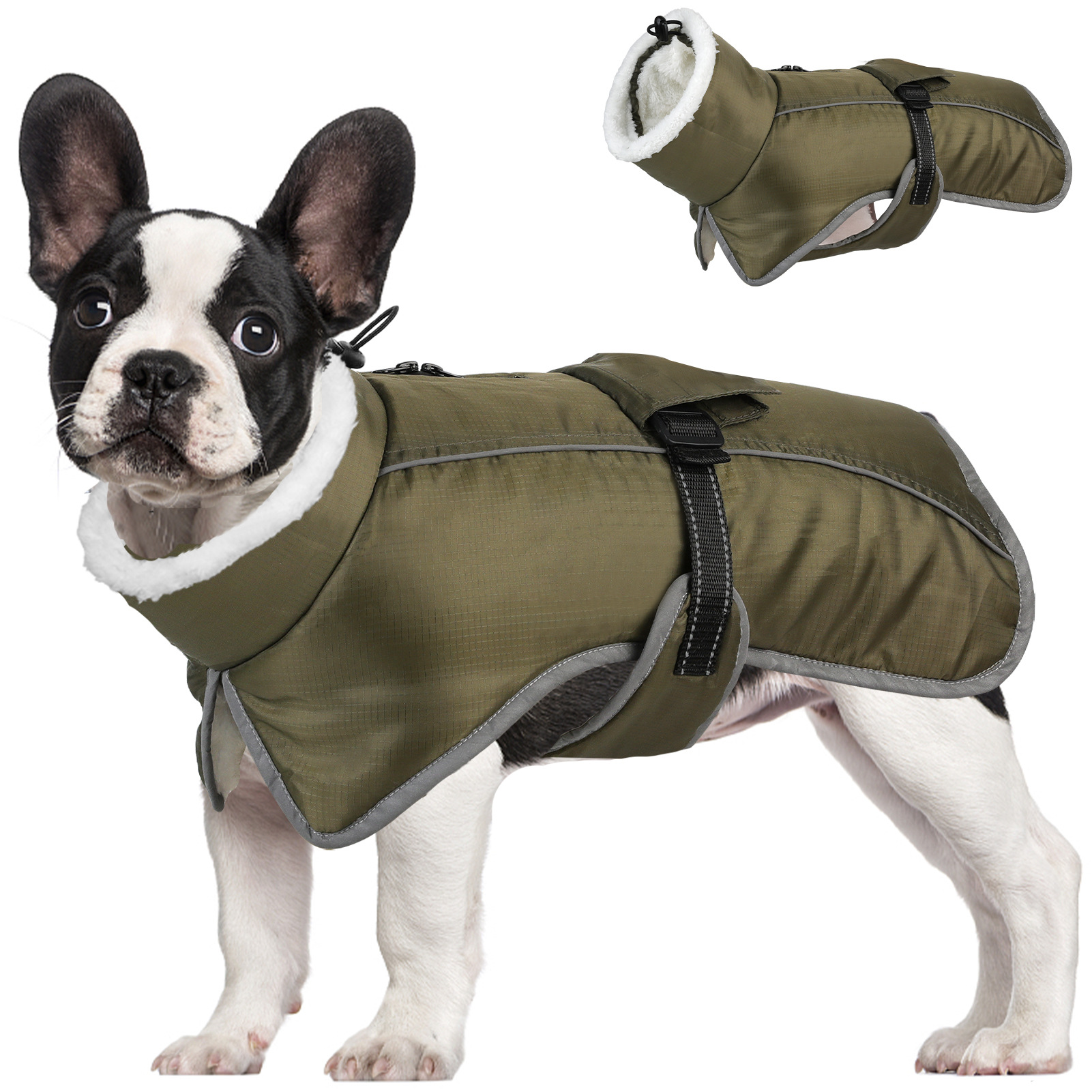 Green Dog Winter Jacket – Warm view 4