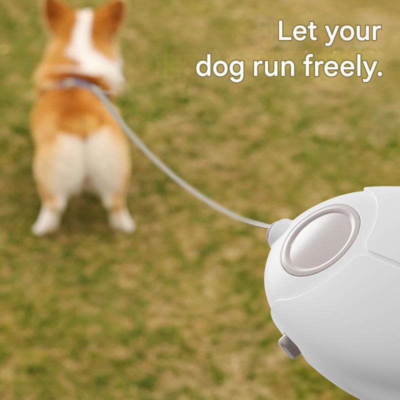 Pink Retractable Dog Leash with Luminous Rope 3M Anti-Tangle Automatic view 2