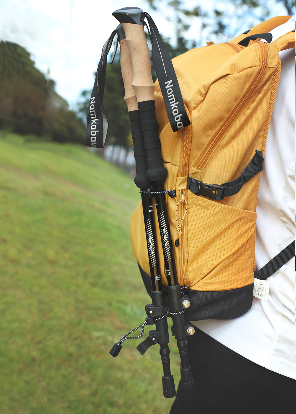 2-Pack Black Aluminum Alloy Telescopic Trekking Poles with Secure External view 6