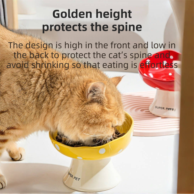 Red and Black Elevated 15° Tilted Ceramic Cat Bowl - Anti-Chin Acne Glaze Finish view 4