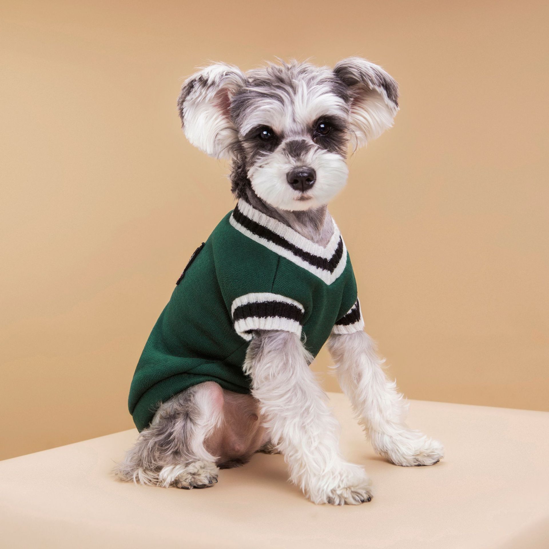 4-Pack S Size Preppy Style V-Neck Knitted Cotton Pet Sweater - Hair-Resistant view 4