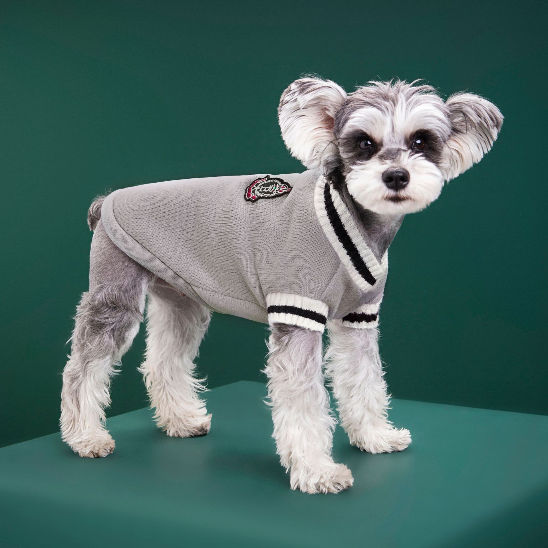 4-Pack S Size Preppy Style V-Neck Knitted Cotton Pet Sweater - Hair-Resistant view 6
