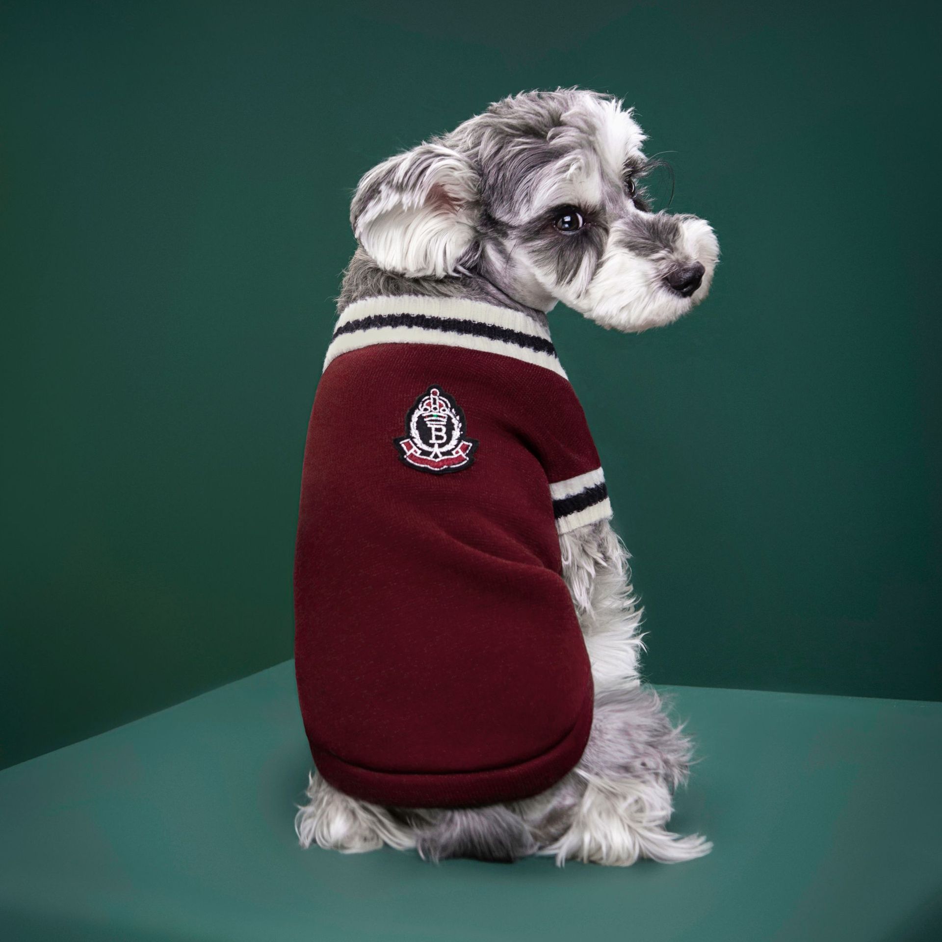 4-Pack M Size Preppy Style V-Neck Knitted Cotton Pet Sweater - Hair-Resistant view 5