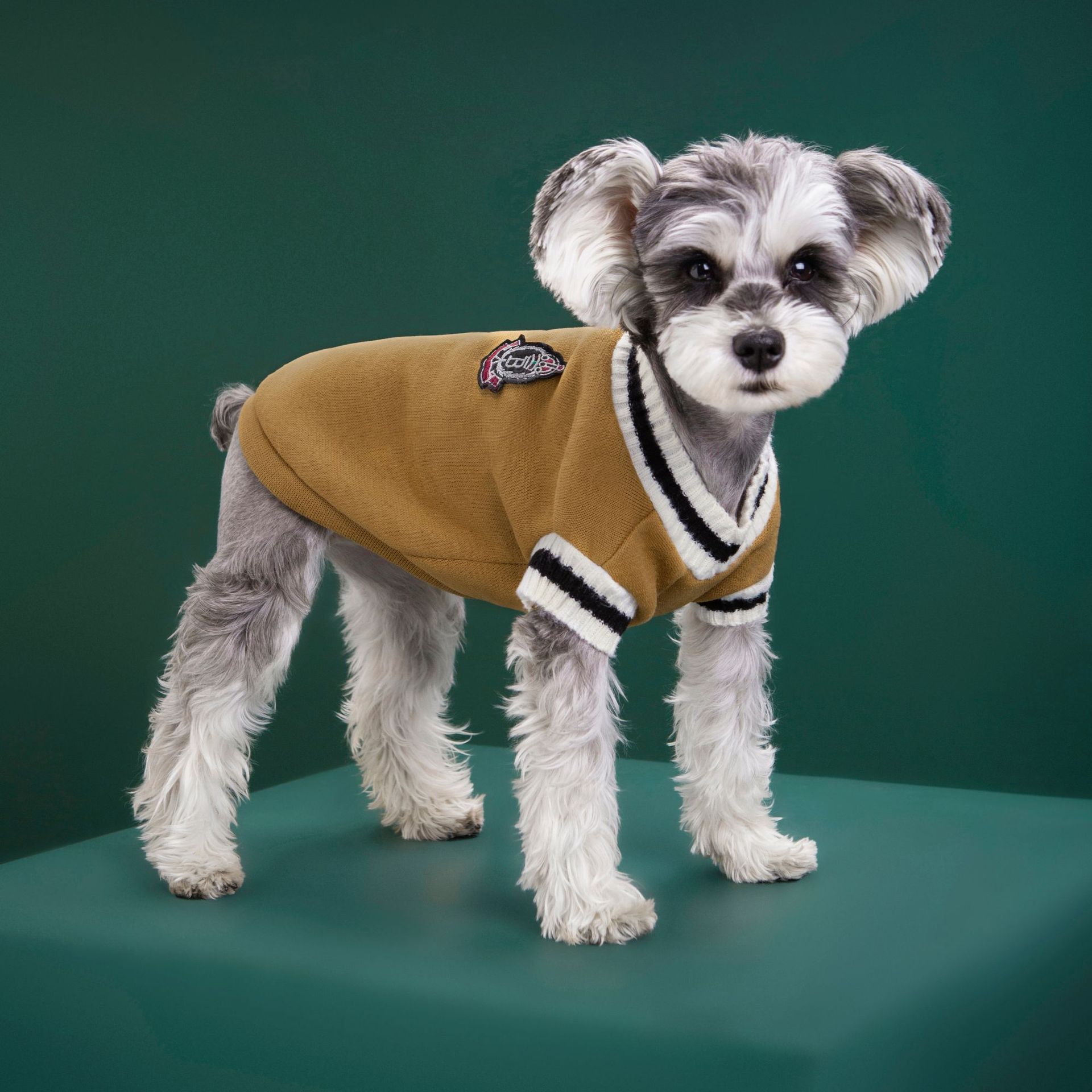 4-Pack L Size Preppy Style V-Neck Knitted Cotton Pet Sweater - Hair-Resistant view 7