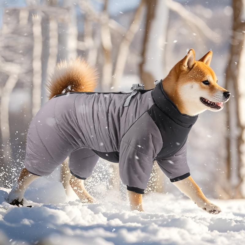 XL Size Grey Winter Waterproof Dog 4 Leg Jumpsuit for Full Body Warmth — image 1