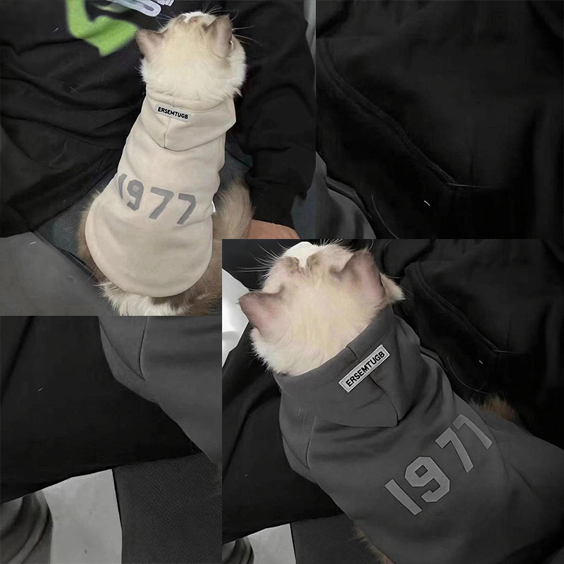 2-Pack M sizeTrendy Pet Hoodie with "1977" Print - Warm Winter Wear for Cats — image 1