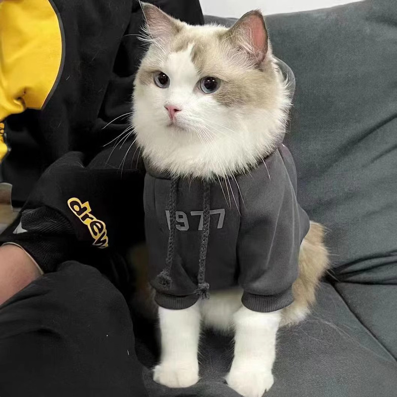 2-Pack XL sizeTrendy Pet Hoodie with "1977" Print - Warm Winter Wear for Cats view 5
