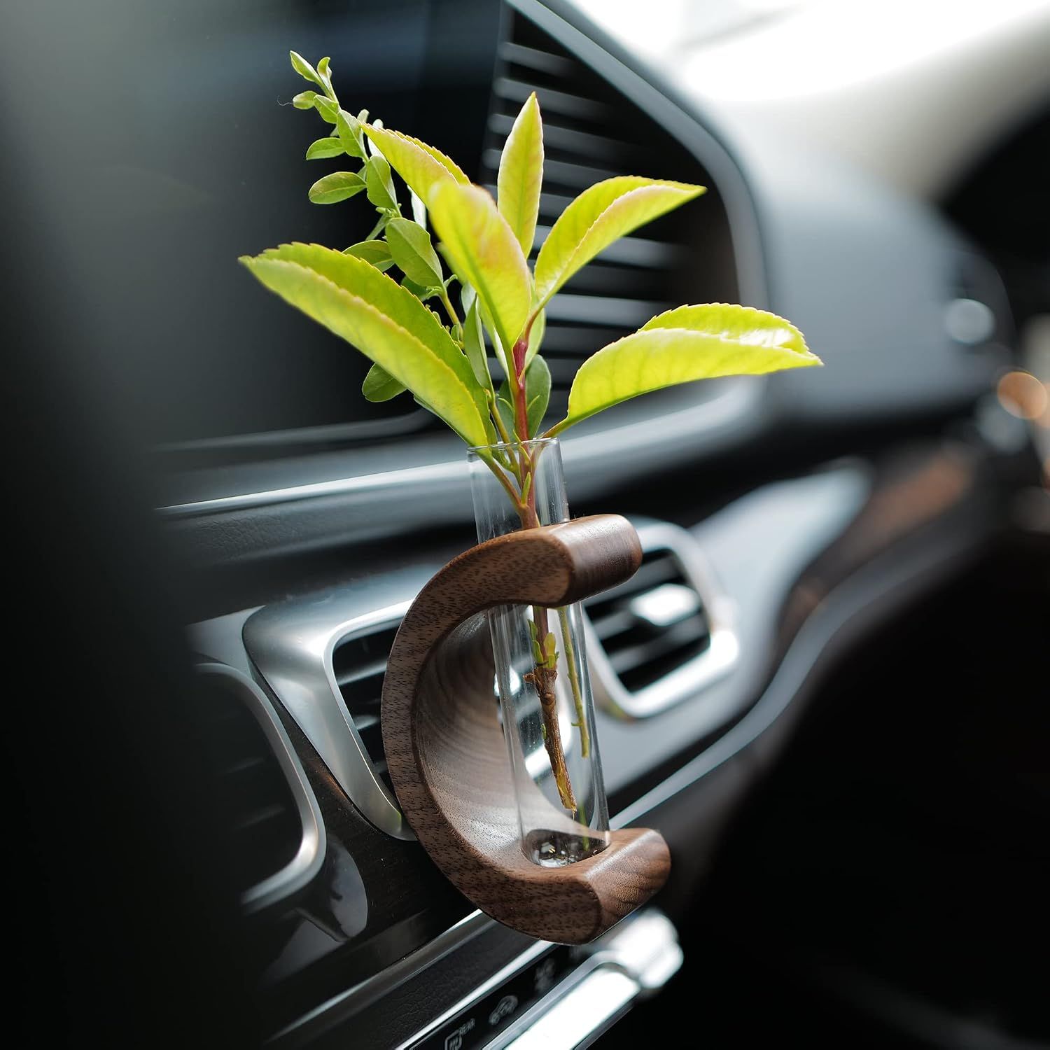 Car Dashboard Decorations - Propagation Vase Vent Clip for Fresh/Dried Flowers — image 1