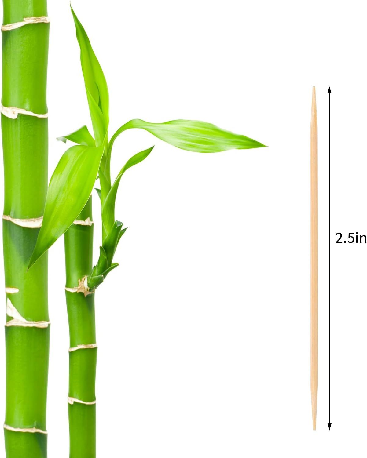 2PS Toothpick Holder with 1000 Count Bamboo Toothpicks for Teeth Cleaning view 2