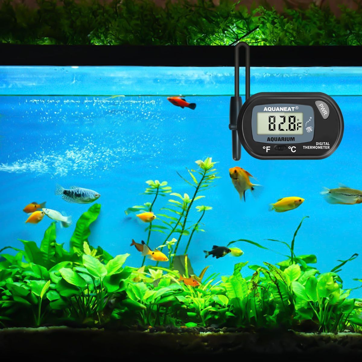 Aquarium Thermometer, Fish Tank Thermometer, Digital Temperature Test, with view 7