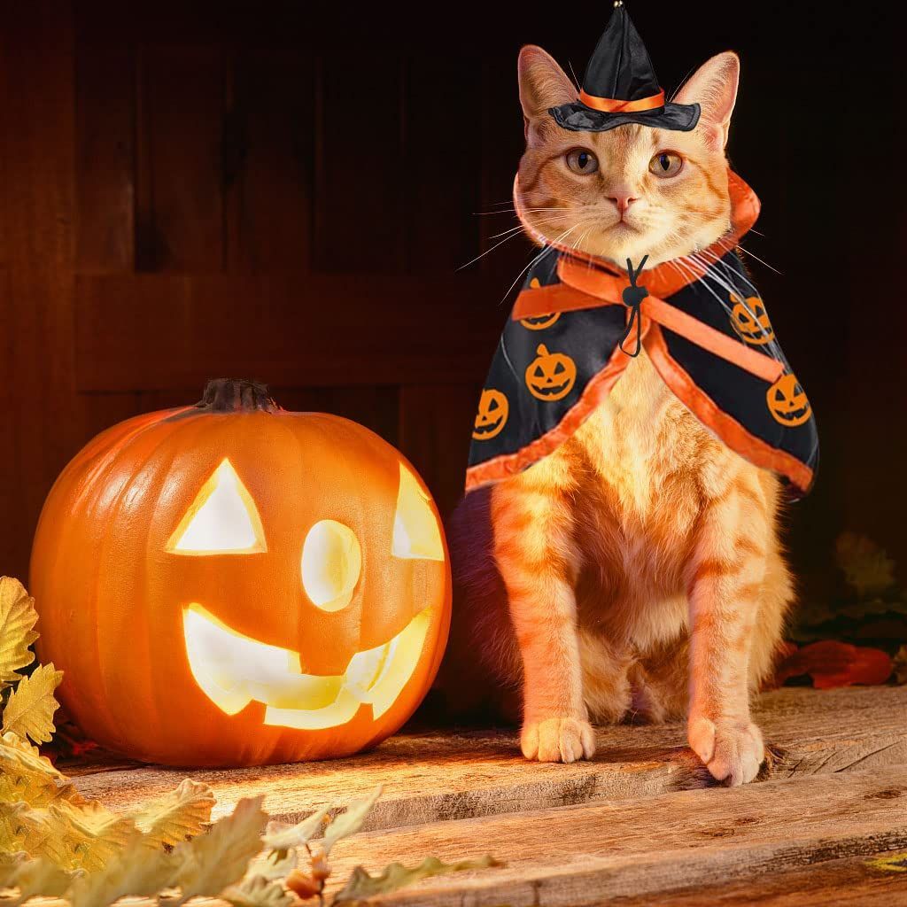 Halloween Cat Costume Cloak Witch Hat Pet Accessories Halloween Adjustable view 3