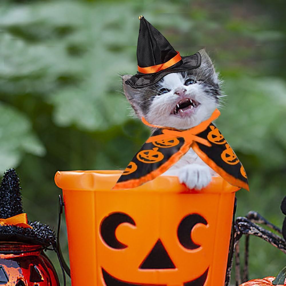 Halloween Cat Costume Cloak Witch Hat Pet Accessories Halloween Adjustable view 4
