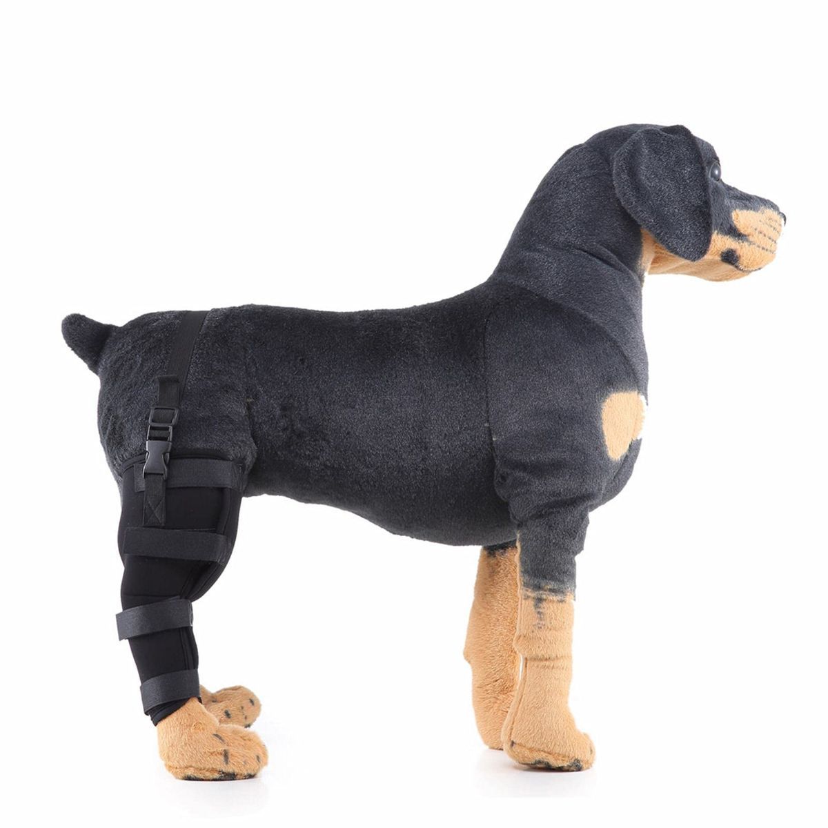 Dog Hind Right Leg Brace for Surgery Recovery view 4