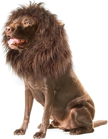 Lion Mane Wig for Dogs with Ears — image 1