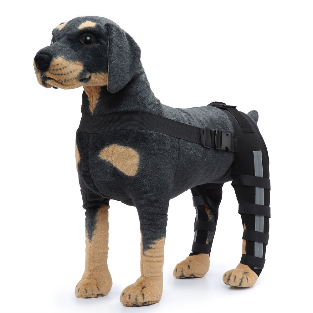 Dog Knee Brace Adjustable Dog Double Rear Leg Brace with Metal Hinged Flexible view 9