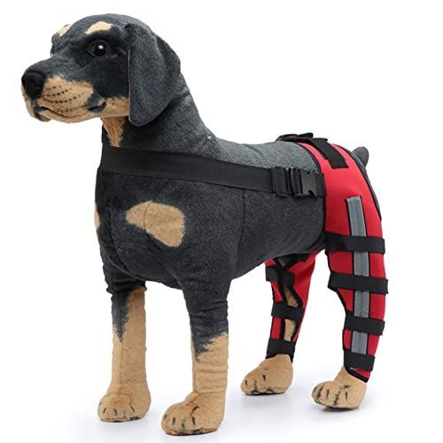 Dog Knee Brace Adjustable Dog Double Rear Leg Brace with Metal Hinged Flexible view 2