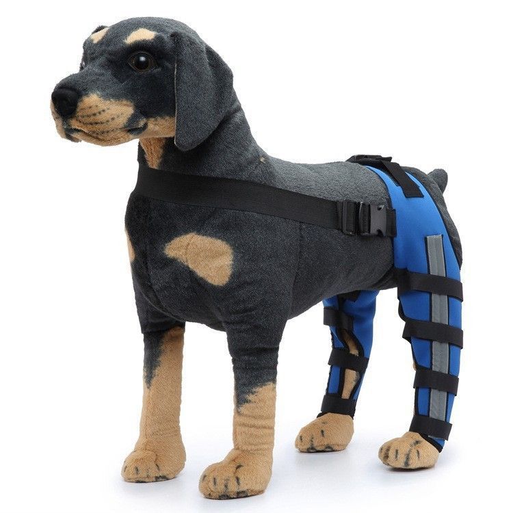 Dog Knee Brace Adjustable Dog Double Rear Leg Brace with Metal Hinged Flexible