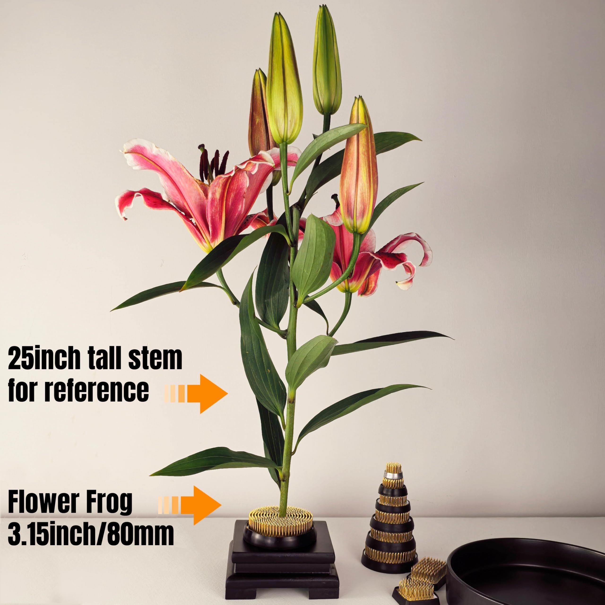 80mm Flower Frog Large Floral Frog Flower Arrangements Supplies Ikebana with view 4