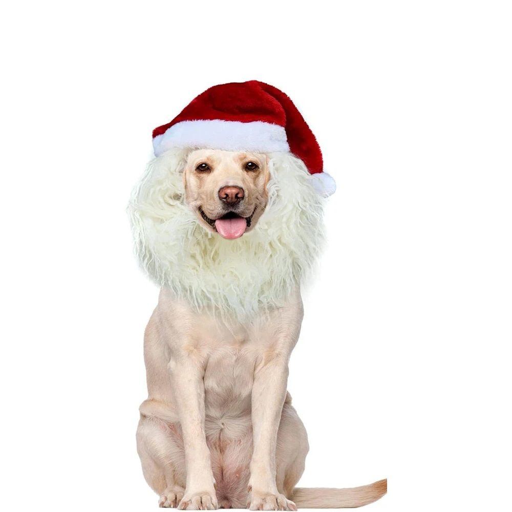 Christmas Dog Santa Costume