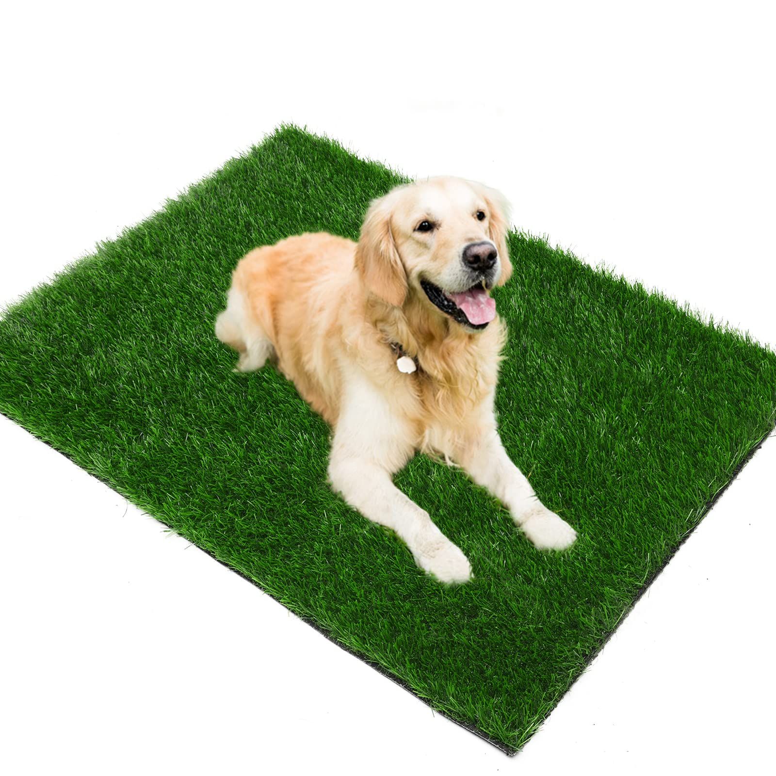 Grass Pad for Dogs 35cmx35cm