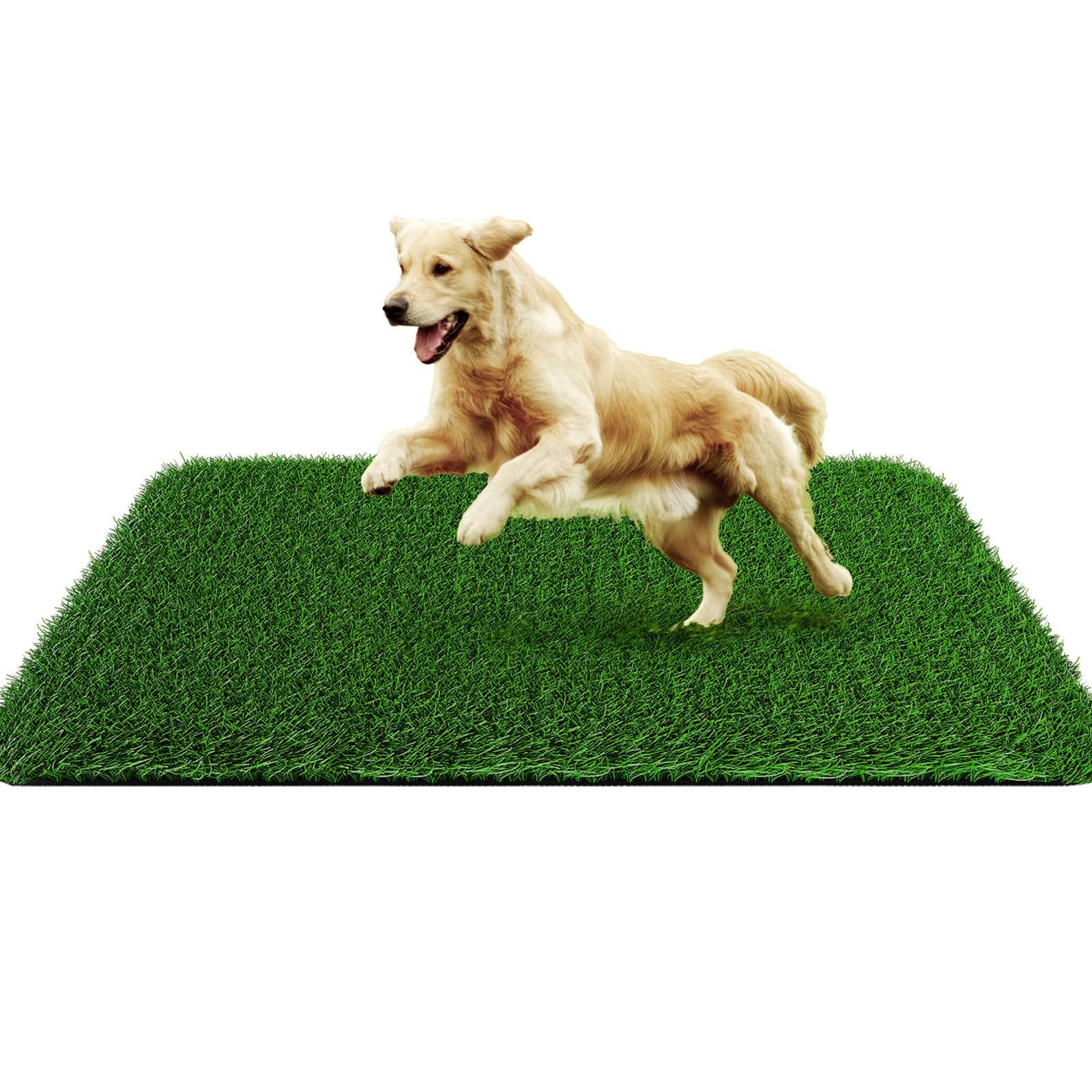Grass Pad for Dogs 35cmx35cm view 2