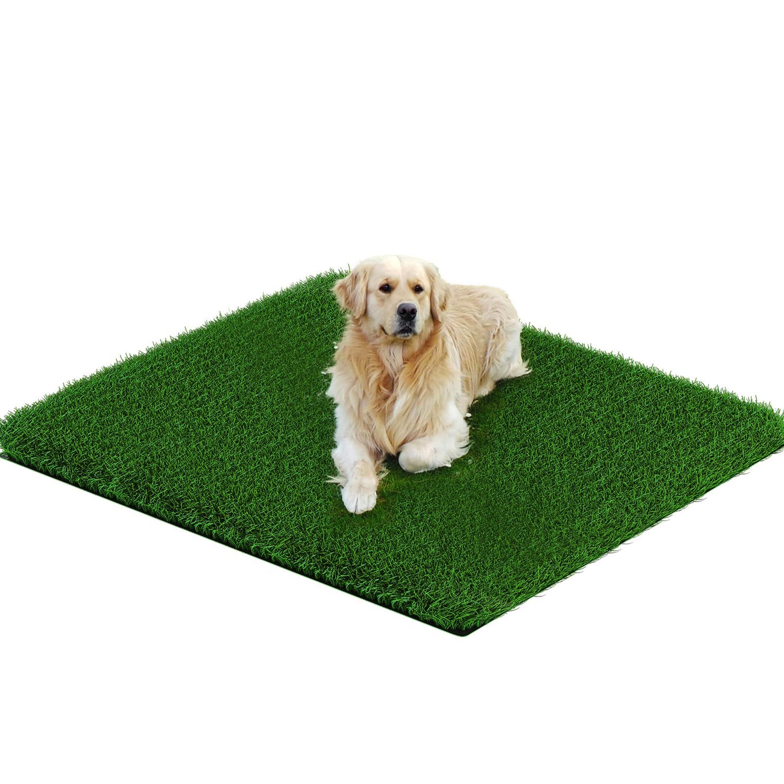 Grass Pad for Dogs 35cmx35cm view 3