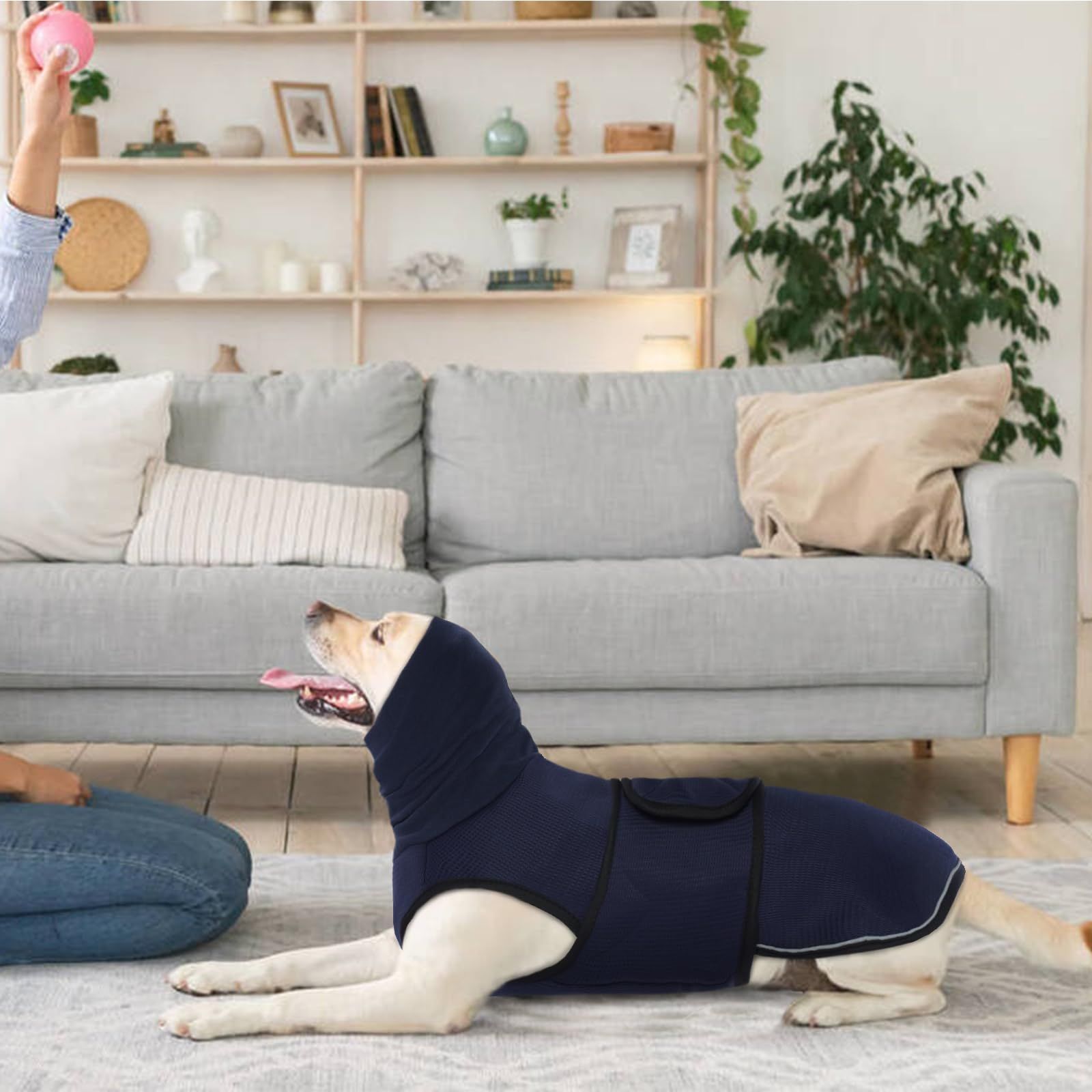 Dog Anxiety Vest and Coat view 4
