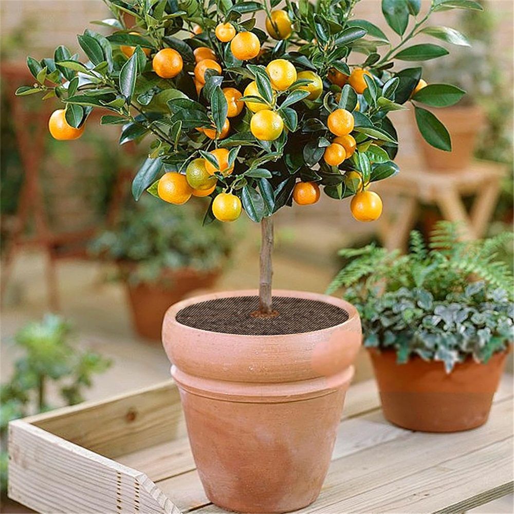 6 Pcs 11.8 Inch Plant Pot Grids-Cuttable Plant Pot Soil Covers Protectors from view 4