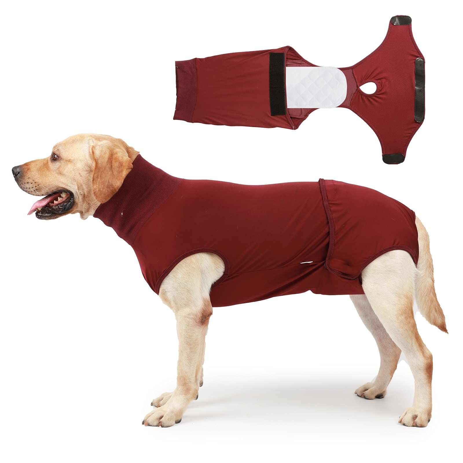Full Body Dog Diaper with a Puppy Nappies Physiological Dog Surgery Recovery