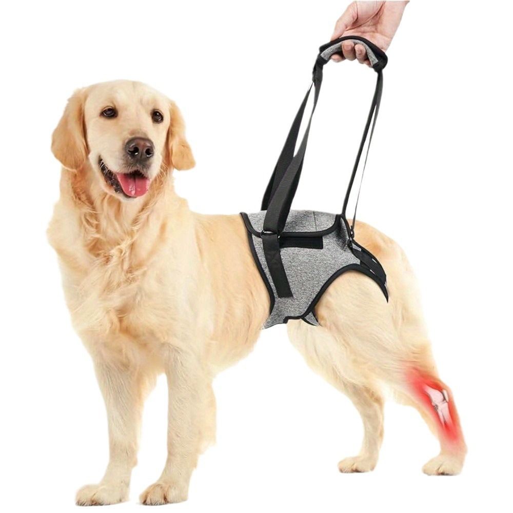 Dog Lift Harness, Dog Sling for Medium Large Dogs, Adjustable Dog Support view 2