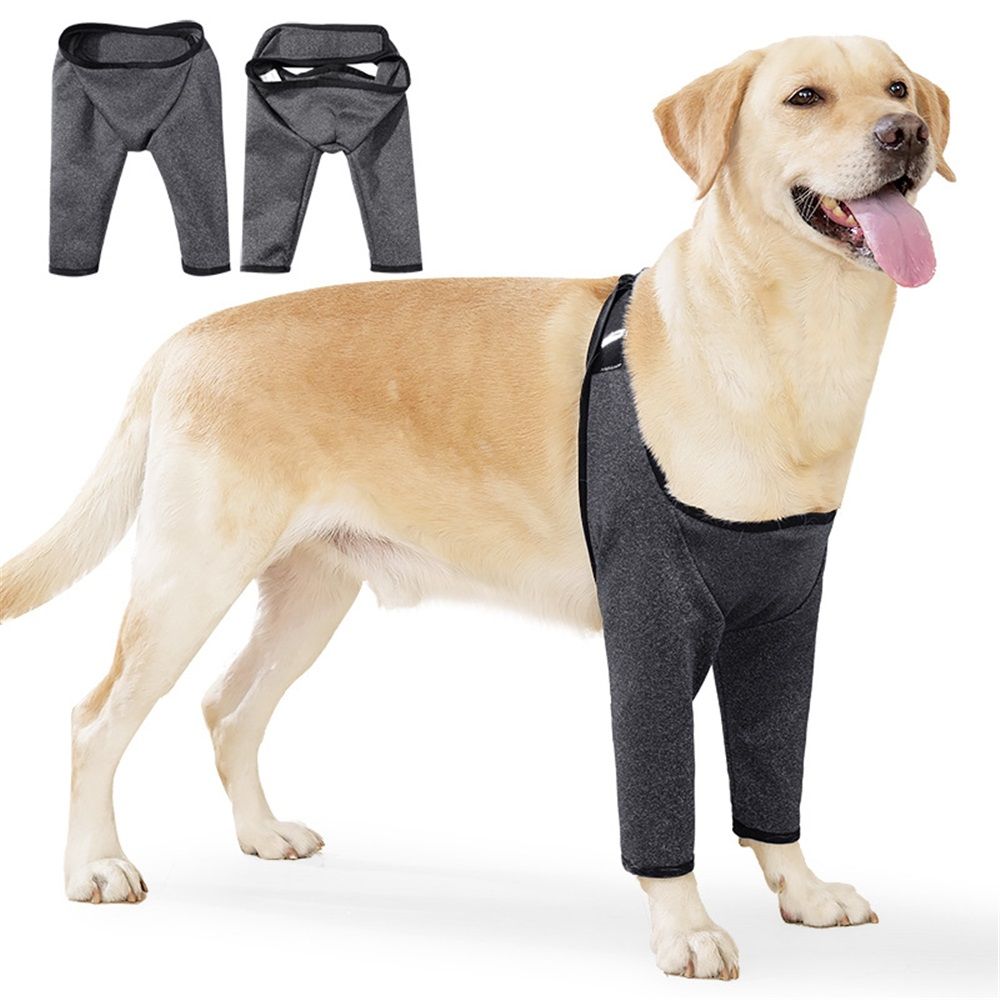 Dog Recovery Suit for Front Legs
