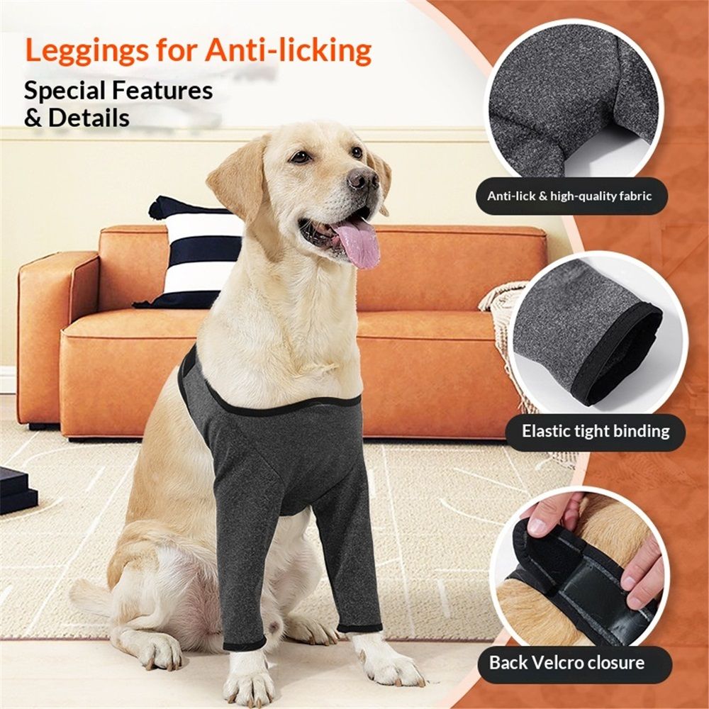 Dog Recovery Suit for Front Legs view 2