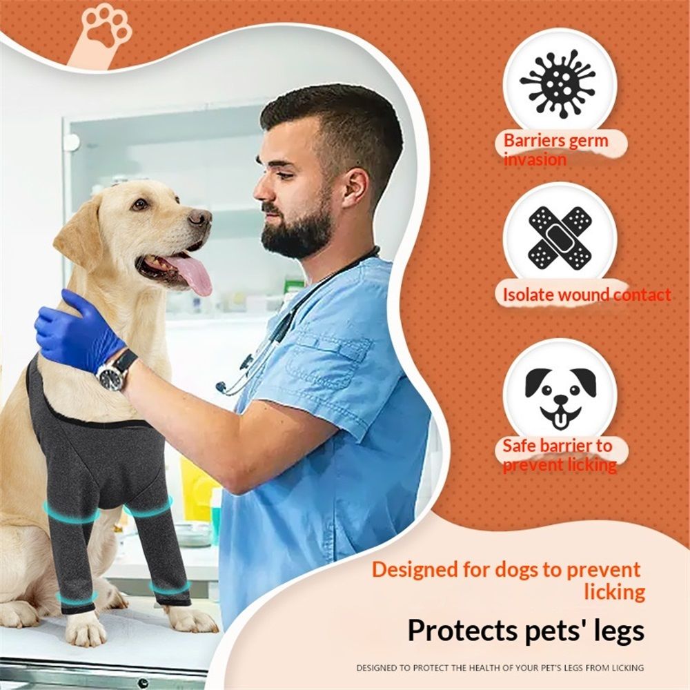 Dog Recovery Suit for Front Legs view 3