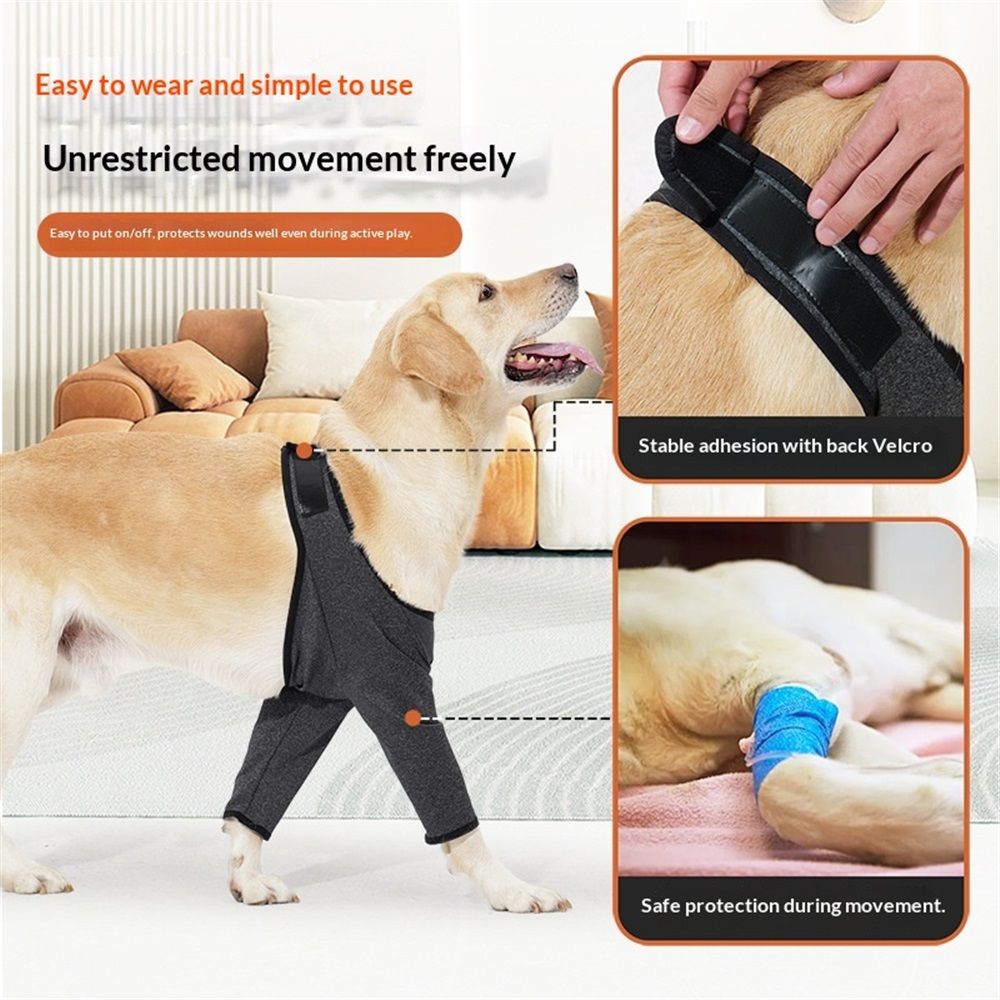 Dog Recovery Suit for Front Legs view 4