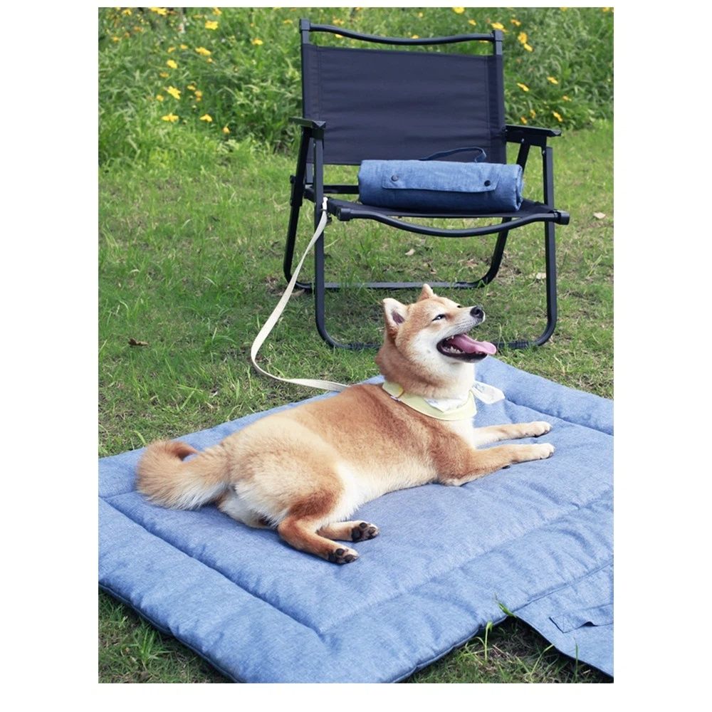 Dog Travel Mat for Camping Portable Waterproof Lightweight & Outdoor Easy view 2
