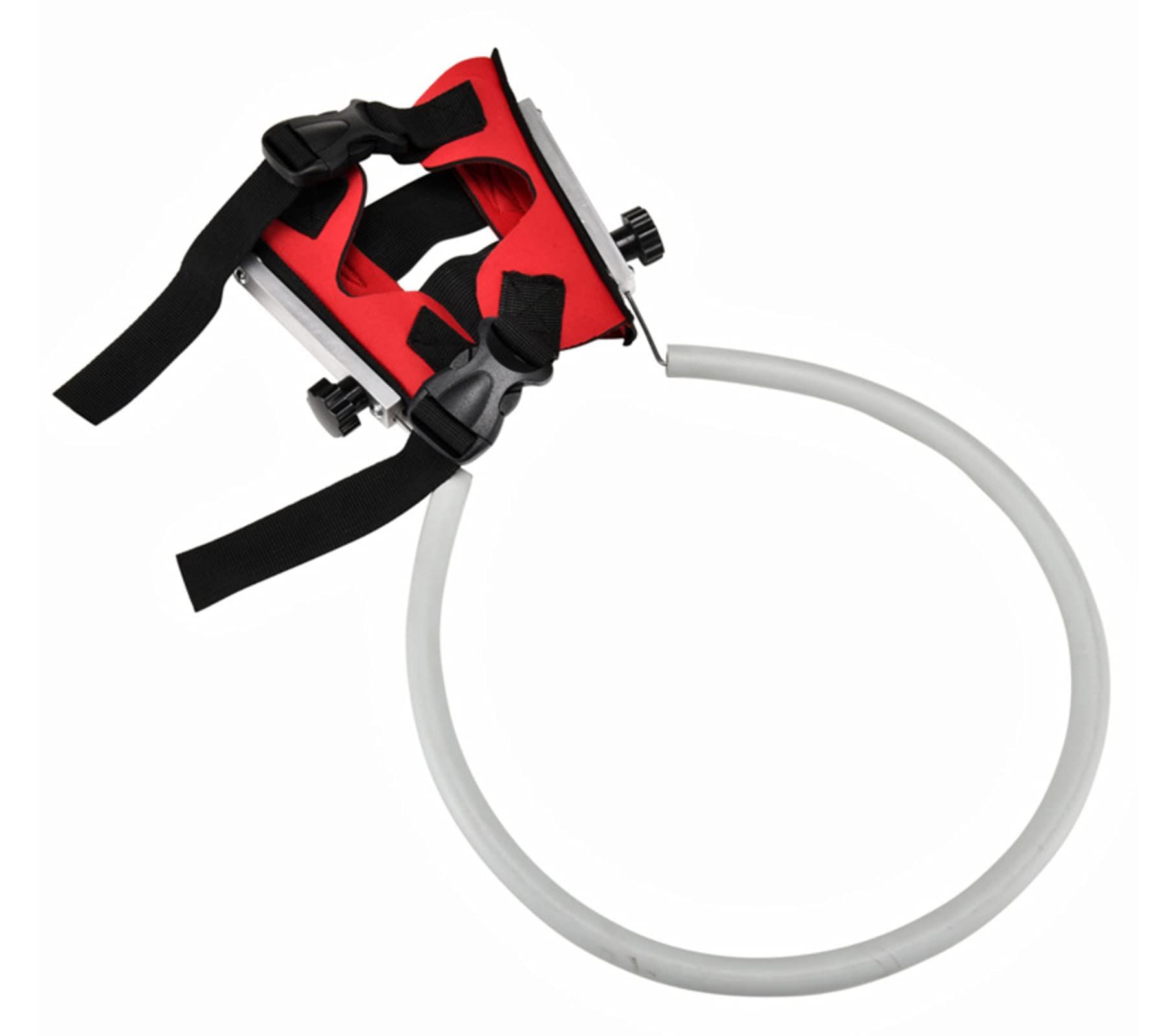 Ring Harness for Blind Dog