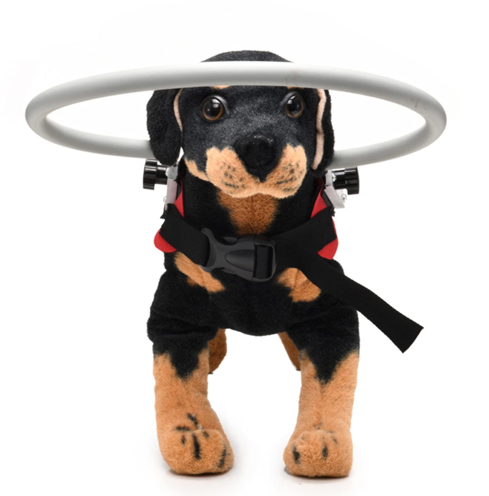 Ring Harness for Blind Dog view 2
