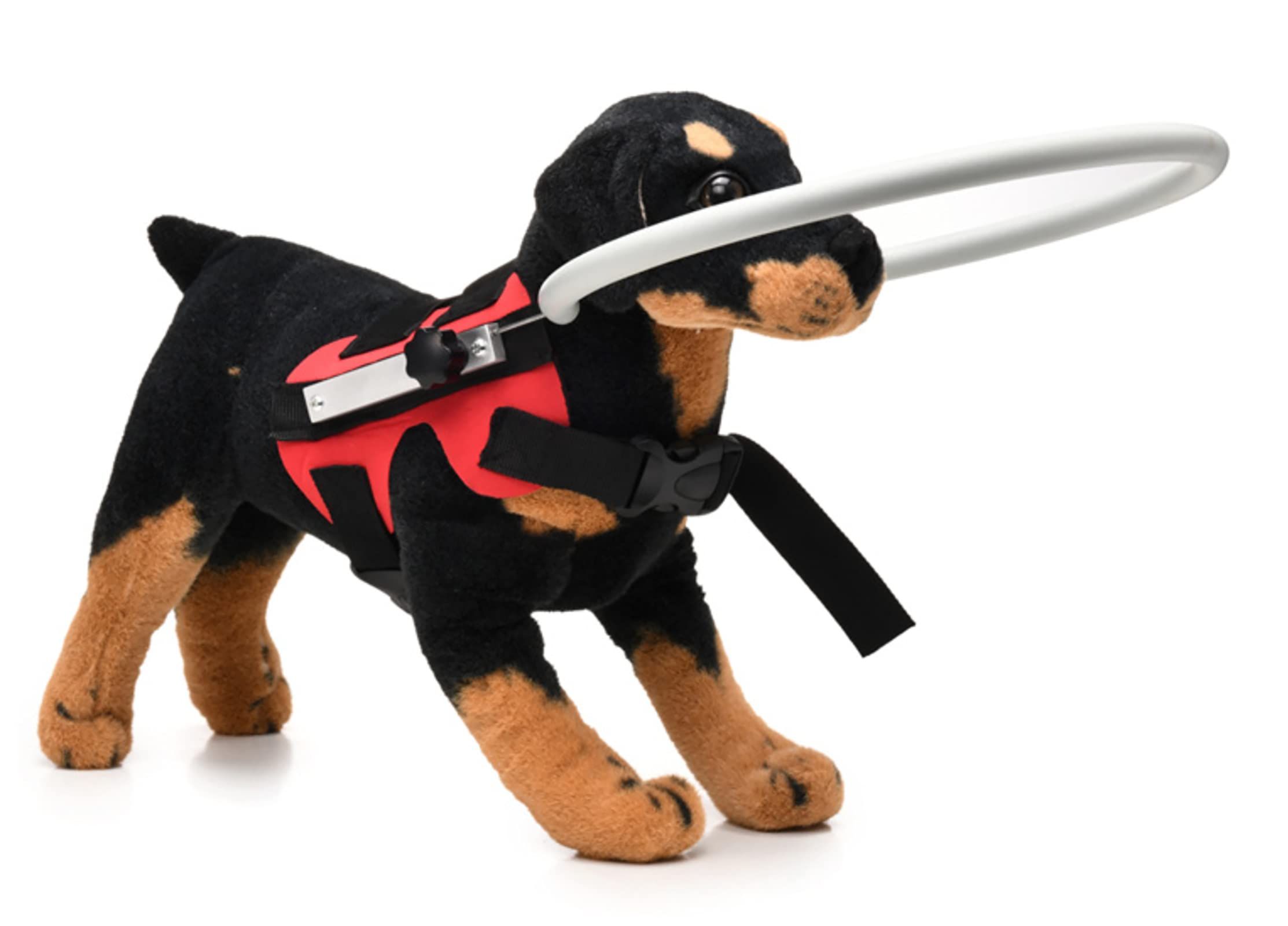 Ring Harness for Blind Dog view 3