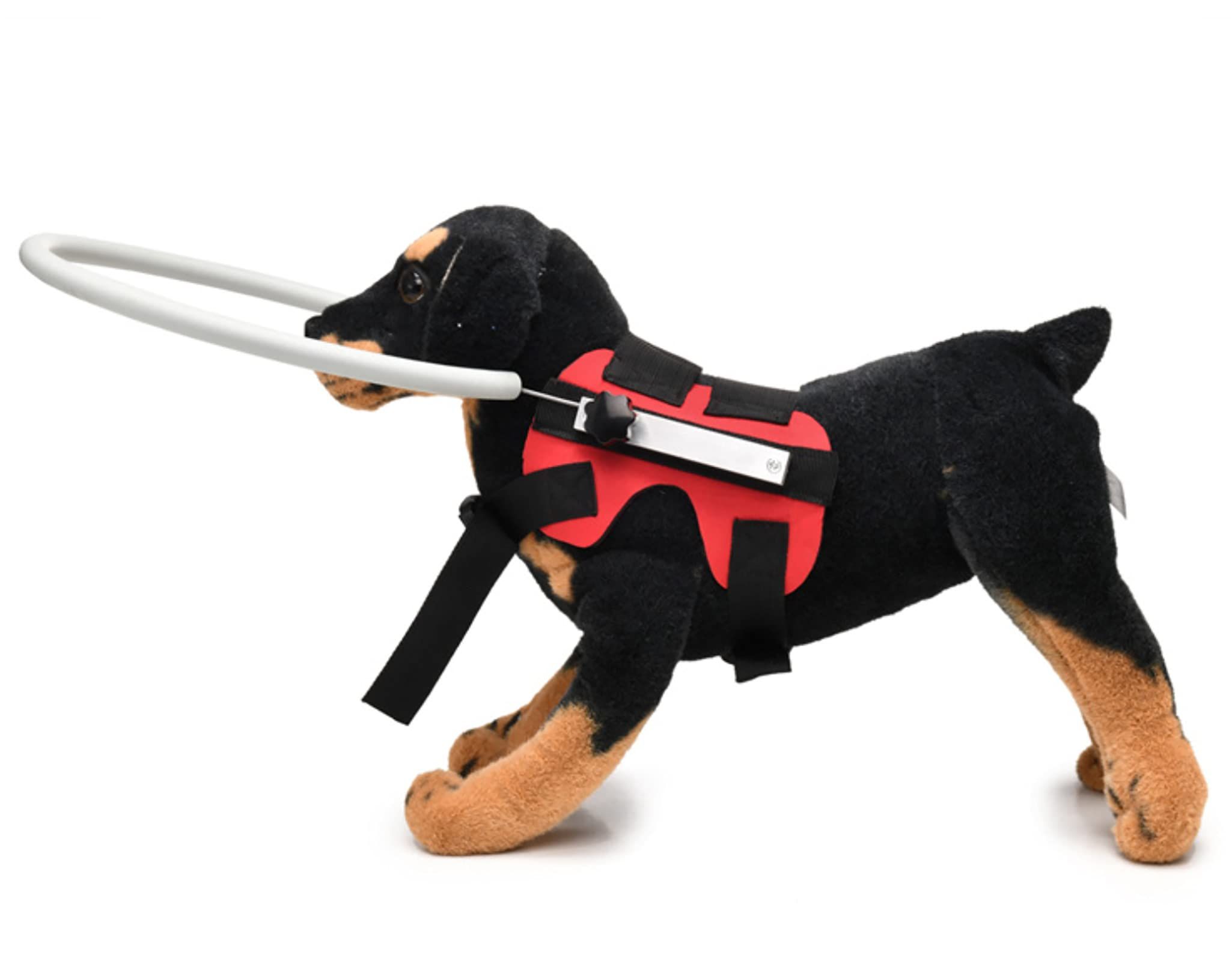 Ring Harness for Blind Dog view 4