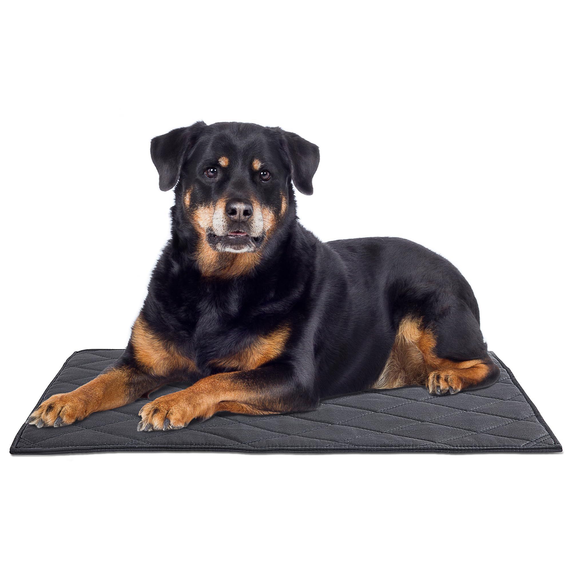 Chew Proof Dog Crate Bed Pad - Indestructible & Water Resistant for Aggressive