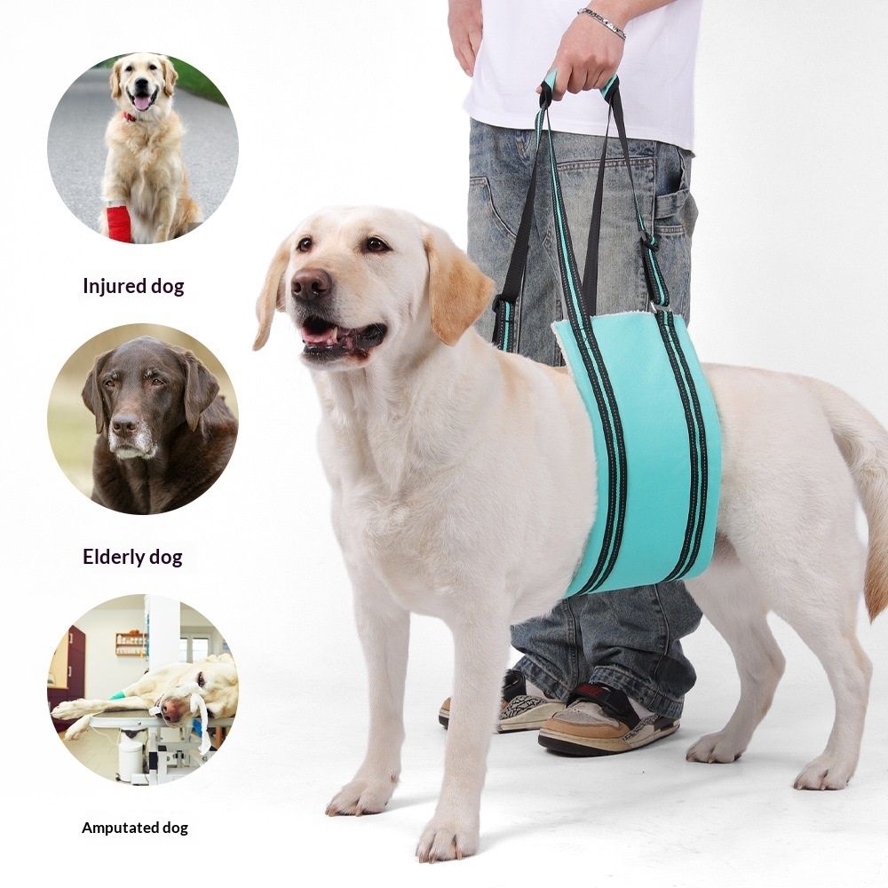 Portable Hip Support Harness Assist Lift Dogs Rear for Canine Aid - Pet Lift view 2