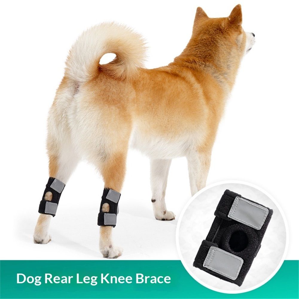 Dog Canine Braces for Rear Legs Supportive with Spring Inserts to Stabilize