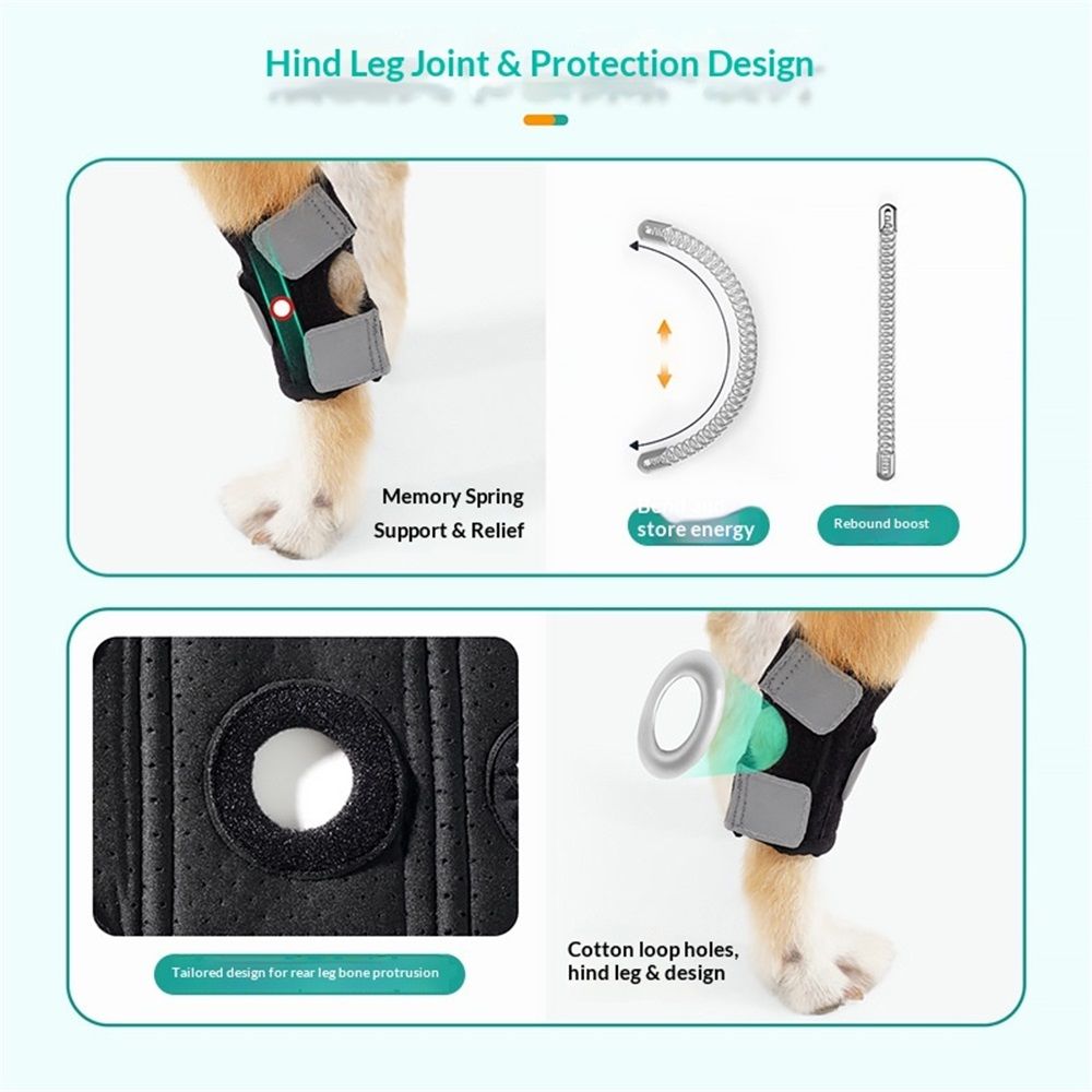 Dog Canine Braces for Rear Legs Supportive with Spring Inserts to Stabilize view 2