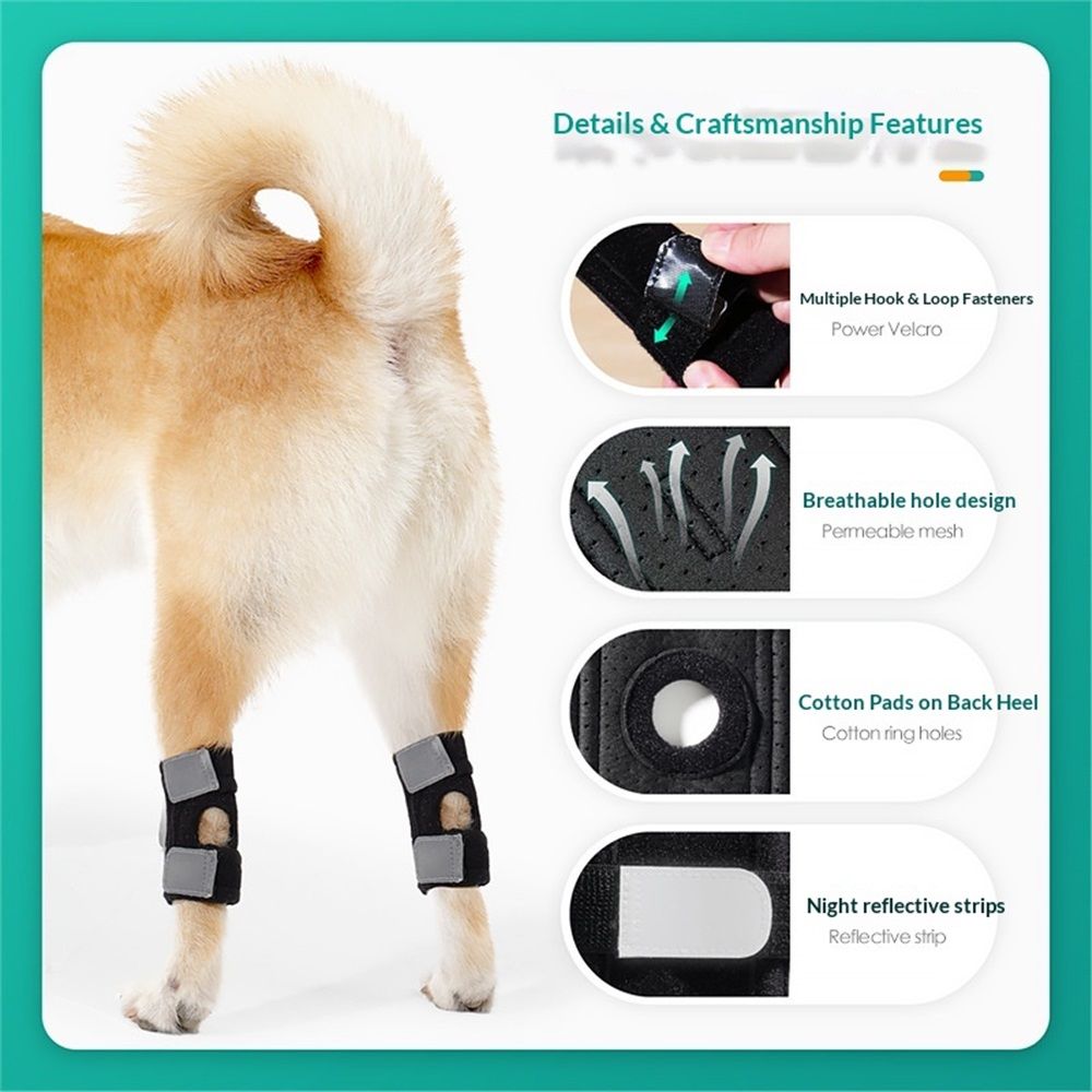Dog Canine Braces for Rear Legs Supportive with Spring Inserts to Stabilize view 3