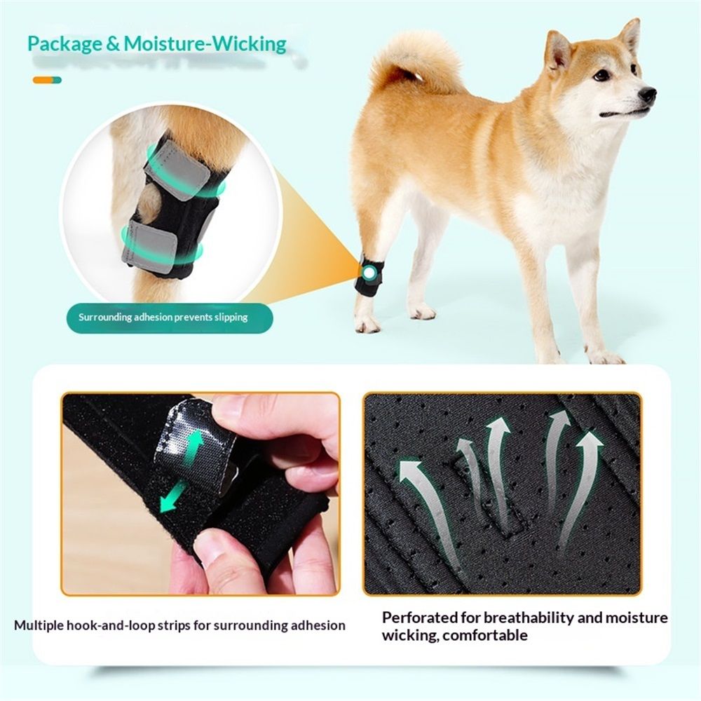 Dog Canine Braces for Rear Legs Supportive with Spring Inserts to Stabilize view 4