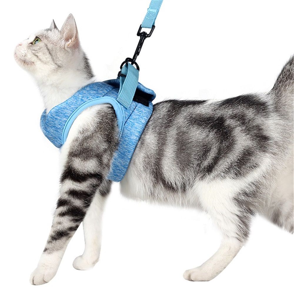 Cat Harness and Set, Cute Escape Proof Vest Harness for Girl&Boy Cat Walking