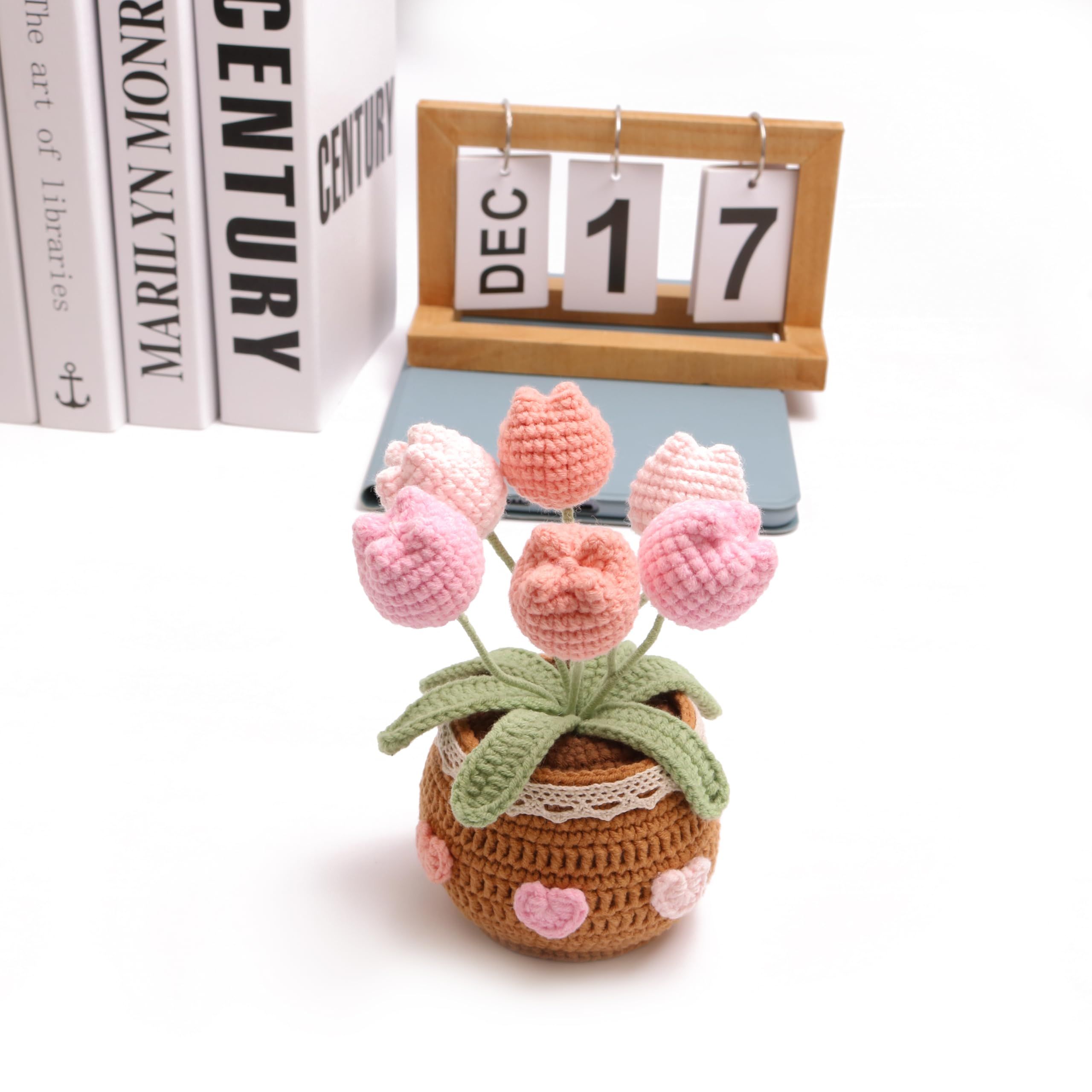 Crochet Kit for Beginners view 2