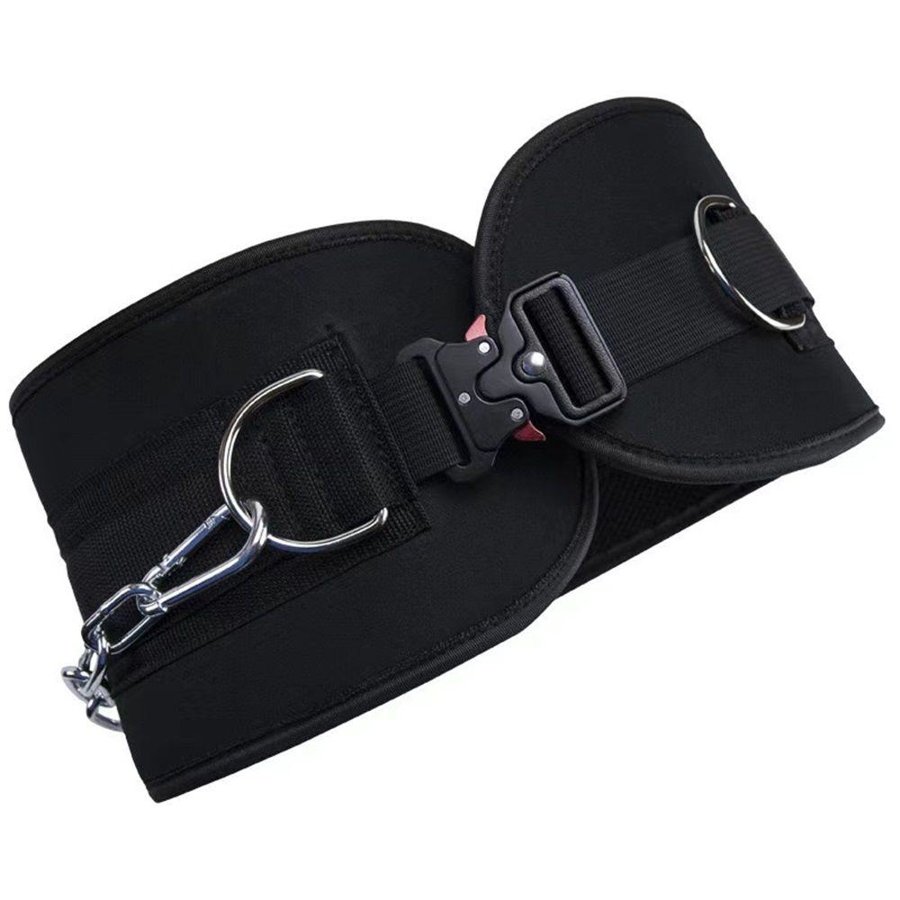 Pull-up Belt Weighted Dip Belt with Chain Double D-ring Weightlifting Back view 5